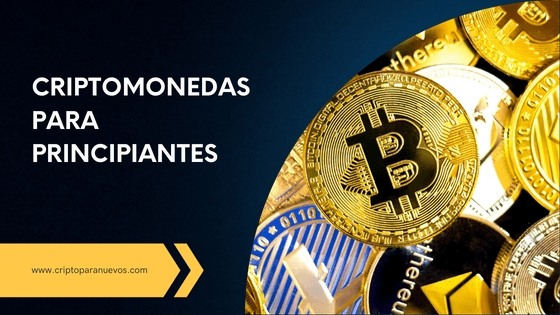 Criptomonedas para Principiantes